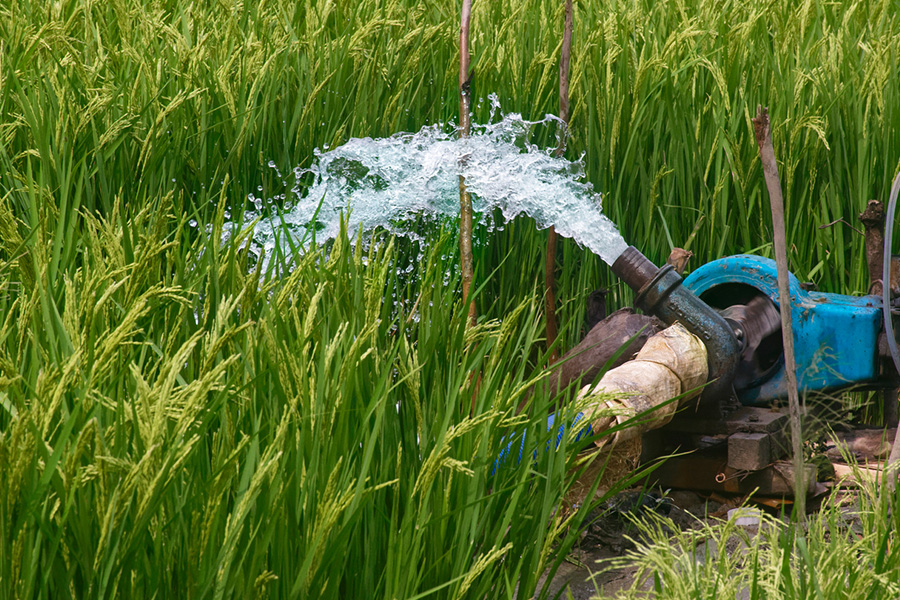 Can Plastic Water Pumps Be The Sustainable Solution For Powered Water Pumping?